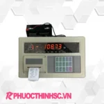 Bộ chỉ thị A9P