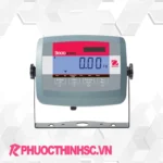 Bộ chỉ thị T31P